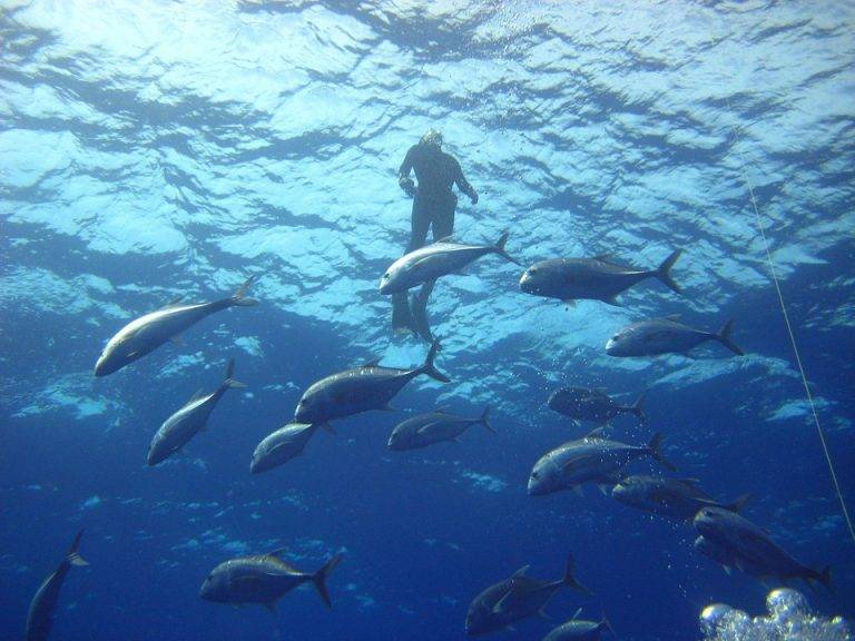 Un francez vrea să traverseze înot Pacificul