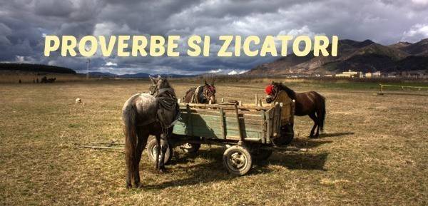 Câteva considerațiuni paremiologice