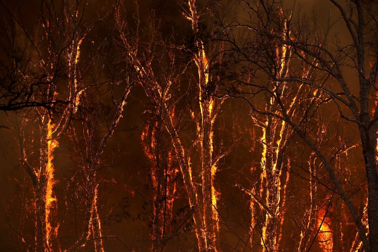 ”Cel puțin șase morți” în incendiile din California