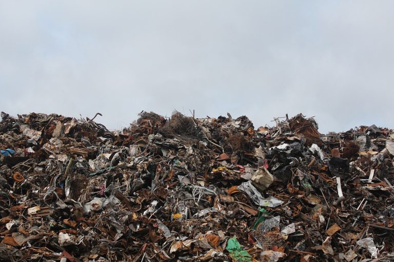 Ministerul mediului, după condamnarea României: Am închis 41 de gropi de gunoi