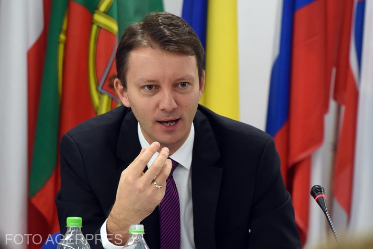 Siegfried Mureșan: Dăncilă își pune miniștrii să-i traducă gafele. Creăm confuzii penibile
