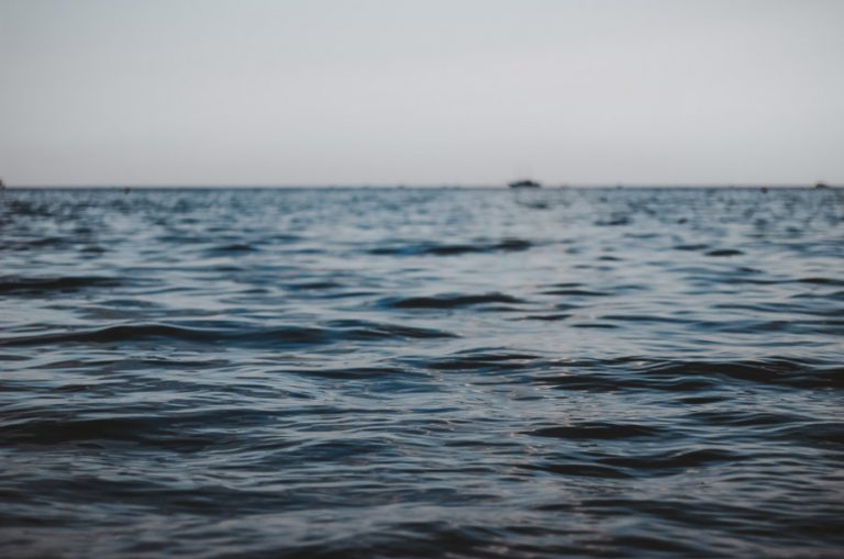 Un grup de pescari turci susține că a fost atacat de o navă a Poliției de Frontieră din România