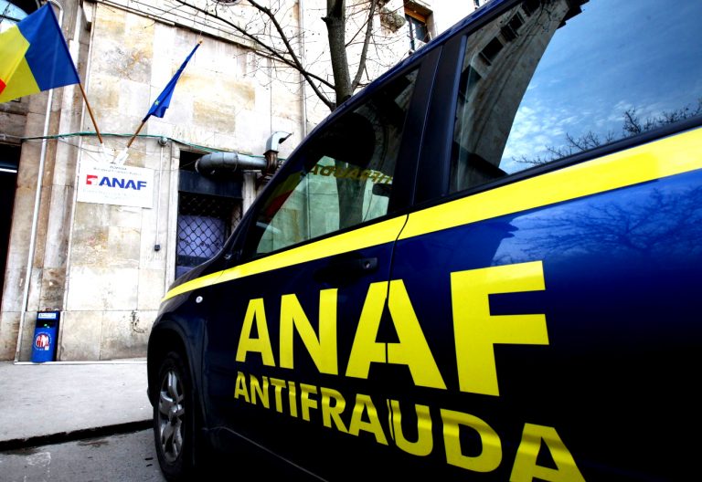 Cum se va informatiza fiscul prin parteneriat public-privat?