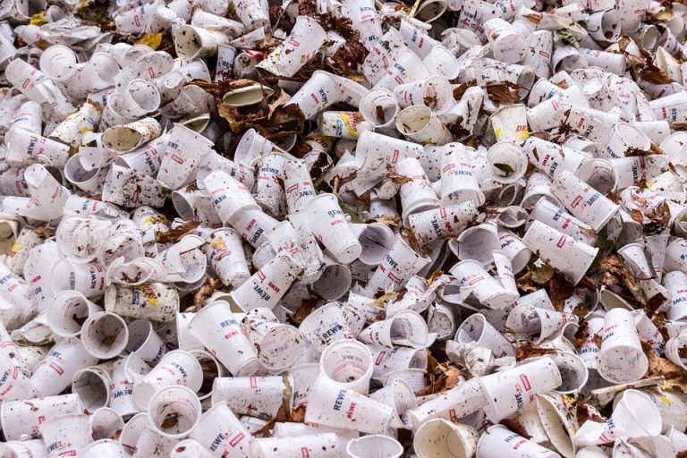 UE ar putea completa deficitul provocat de Brexit cu o taxă pe deșeurile din plastic