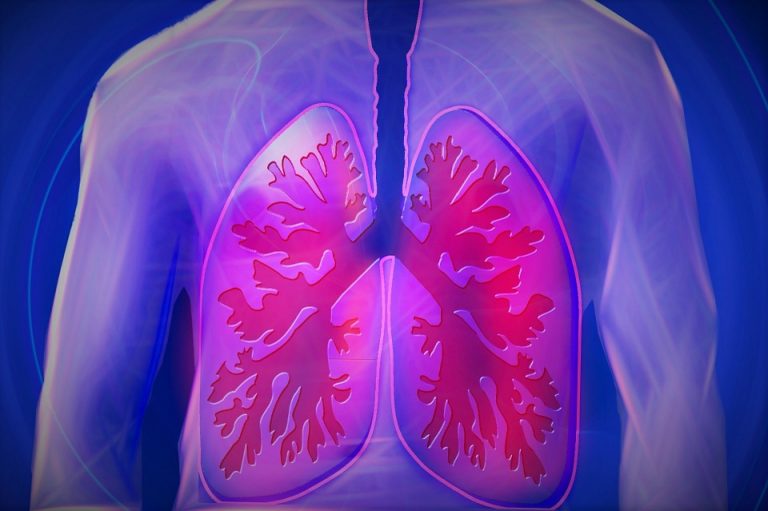 România și Ungaria vor colabora în domeniul transplantului de plămâni