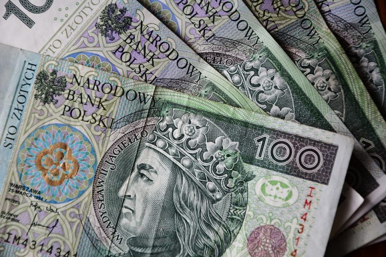 Zlotul, mai bun decât euro?