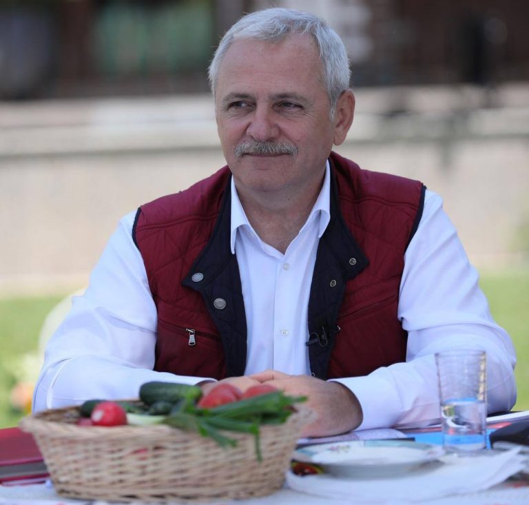 Noi promisiuni de campanie de la Liviu Dragnea, subvenții pentru crescătorii de oi