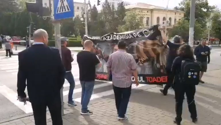 VIDEO Demisia lui Tudorel Toader, cerută în stradă