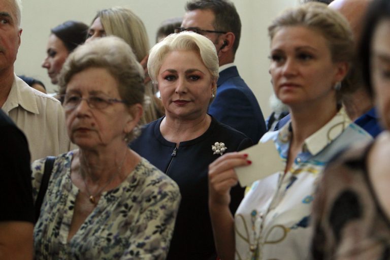 Premierul Dăncilă, întrevedere cu ambasadoarea Franței