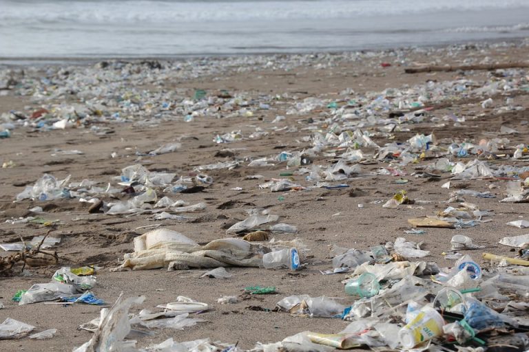 Canada va interzice plasticul de unică folosință din 2021