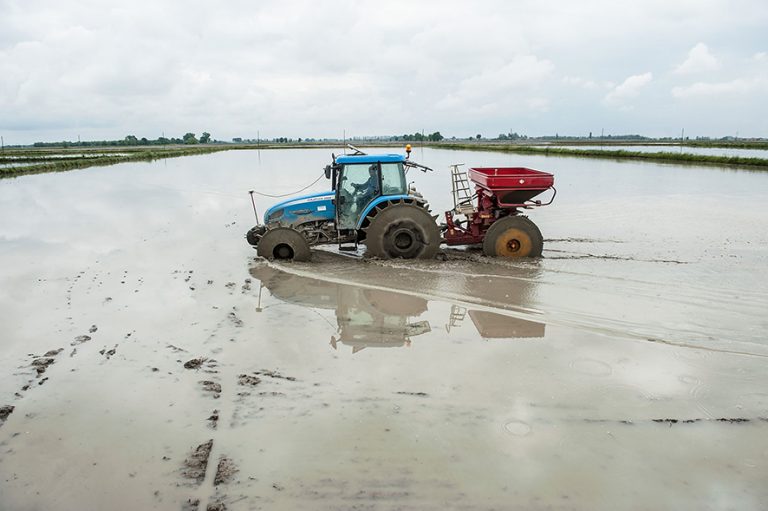 NOVARA, ITALY - May 2: A tractor sows rice in a flooded paddy field on May 2, 2013 in Novara, Italy. With a production of over 40 million tons, Italy is the largest producer of rice in Europe. The cultivation is mainly concentrated in Piemonte and Lombardia, with a unique production of 150 different varieties of rice. In Italy the culture period runs from the end of March until the end of October. (Photo by Giorgio Cosulich/Getty Images)