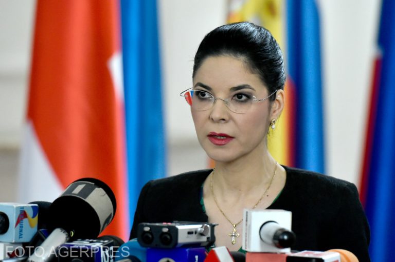 Birchall: Am așteptat punct de vedere de la CSM, dar CSM era ocupat să modifice legea ANI