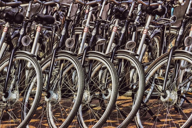 Bicicletele la mare căutare… printre hoți