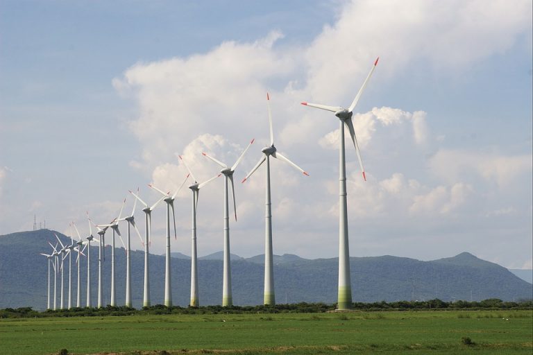 CE, propunere legislativă pentru atingerea neutralității climatice în 2050