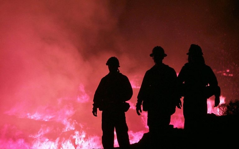 Disputa continuă: Brazilia a respins oferta din partea G7 pentru salvarea Pădurii Amazoniene