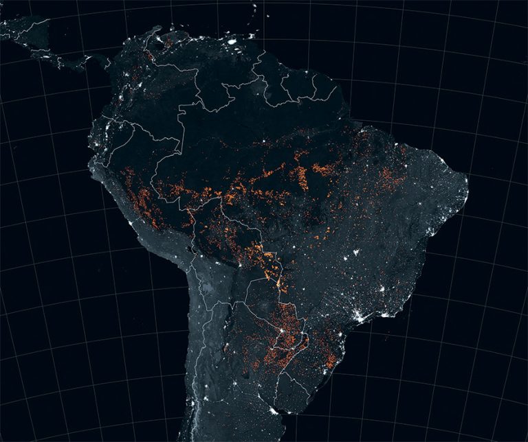 Spre un viitor al jandarmilor ecologici globali?