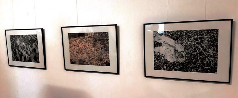 Alte ceramici pe malurile Someşului…