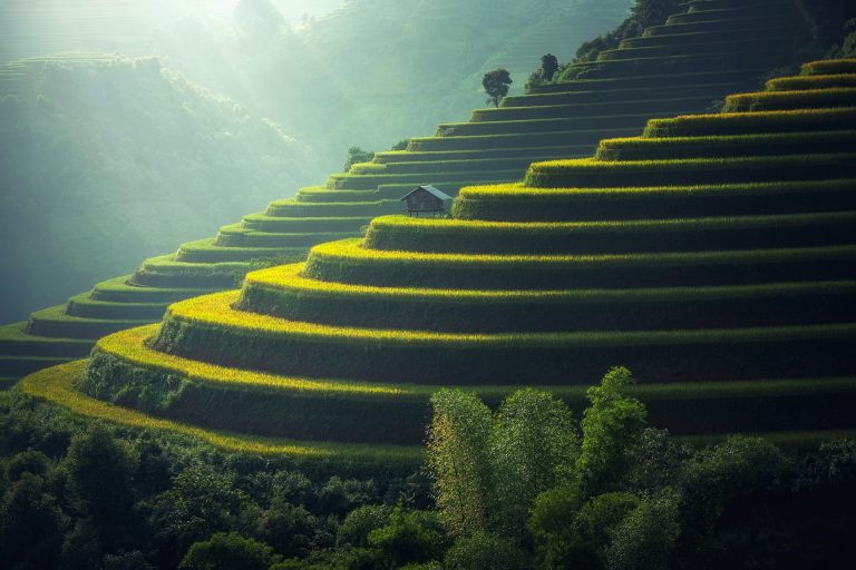 Thailanda va interzice glifosatul și alte două pesticide