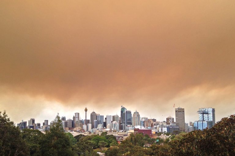 Incendii de vegetație în Sydney, New South Wales