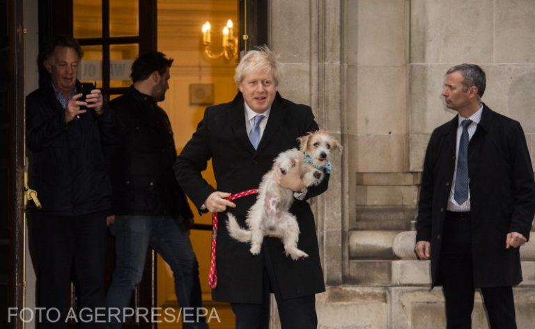 Miza alegerilor britanice: Brexit imediat sau un nou referendum