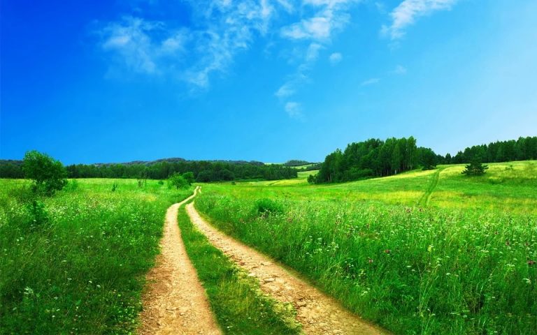 Pactul ecologic european: va fi necesară alocarea anuală a 1,5% din PIB-ul UE