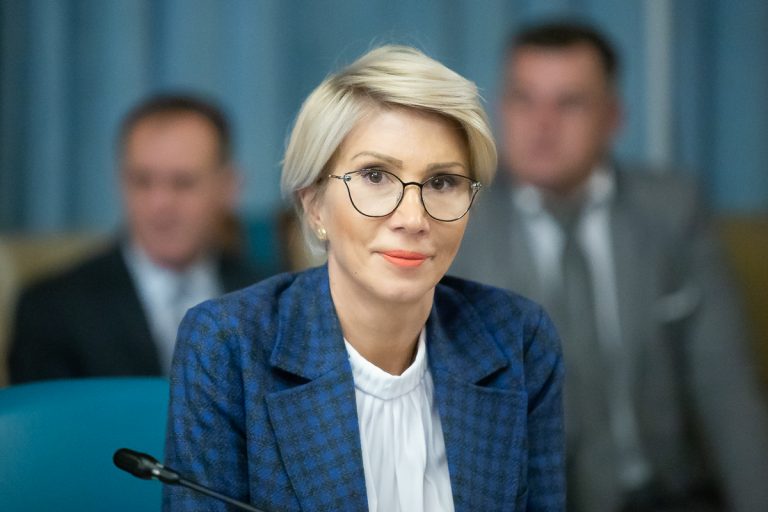 Turcan: Audierile sunt o oportunitate pentru PNL