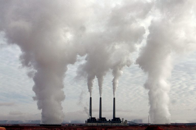 THE GUARDIAN: Pactul Verde al UE este un colosal exercițiu de „greenwashing”