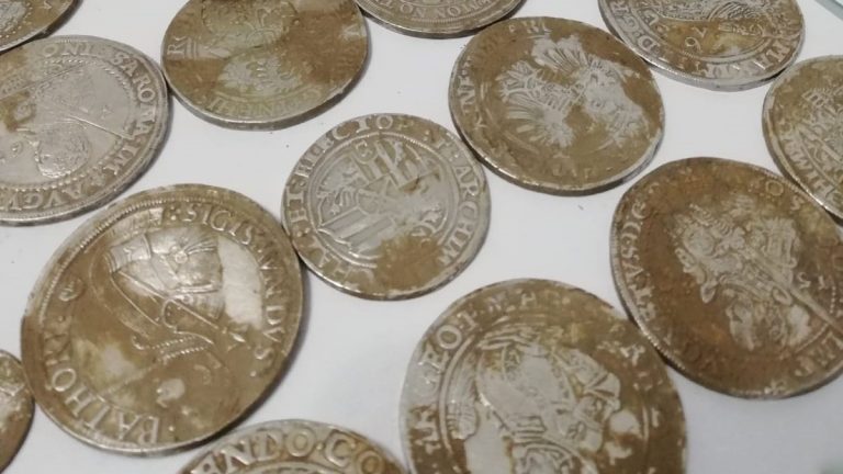 Monede vechi de peste 500 de ani, descoperite în Dâmbovița