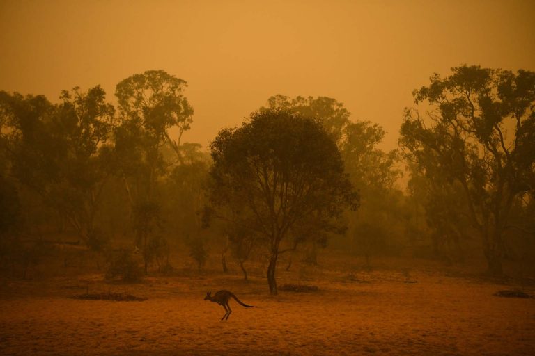 NASA: Fumul degajat de incendiile din Australia va înconjura planeta