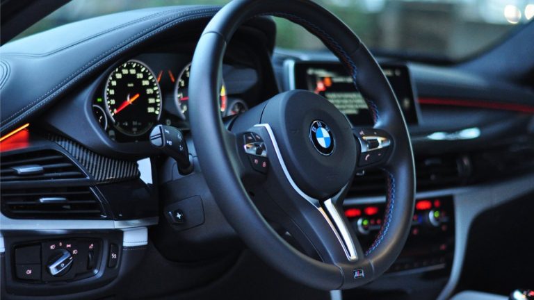Vela: Carmen Dan a cumpărat un BMW Seria 7 pe care l-a dat la Camera Deputaților