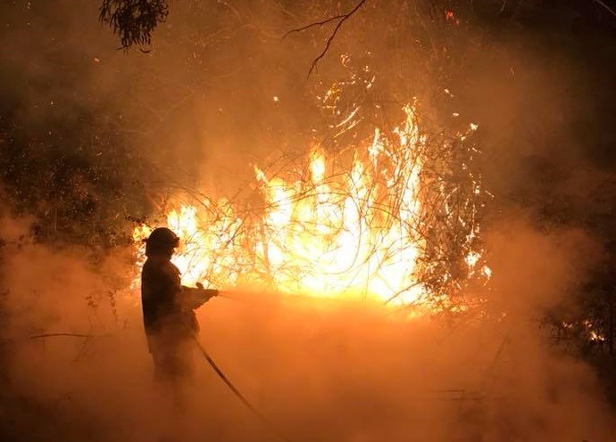 VIDEO Incendiile din Australia revin odată cu noul val de căldură