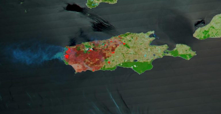 O treime din Insula Cangurilor a fost devastată de flăcări