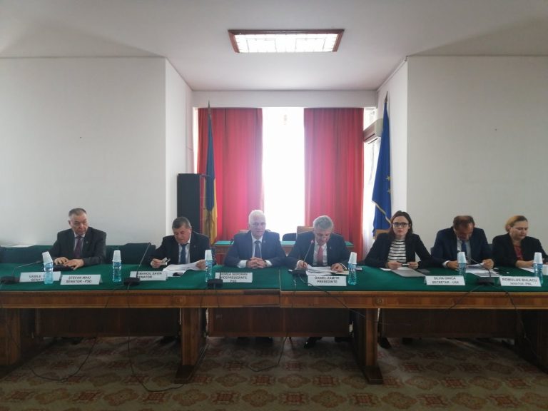 Ordonanța privind alegerile anticipate, respinsă în Senat