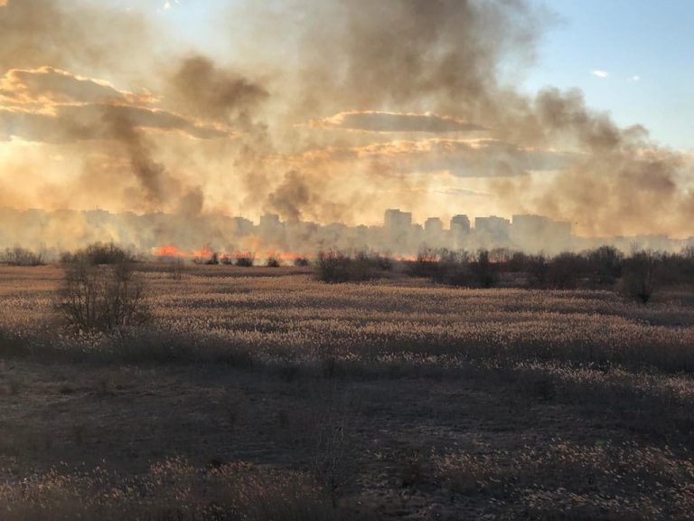 VIDEO| UPDATE: Incendiul din Delta Văcărești a fost stins, după mai bine de 4 ore