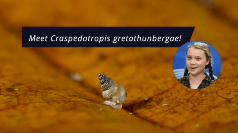 VIDEO O specie de melc a fost numită după Greta Thunberg