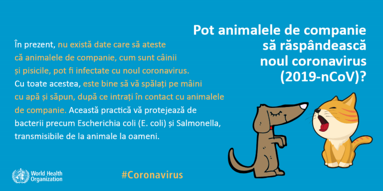 Miturile și virusul: Pot animalele de companie să răspândească noul coronavirus?